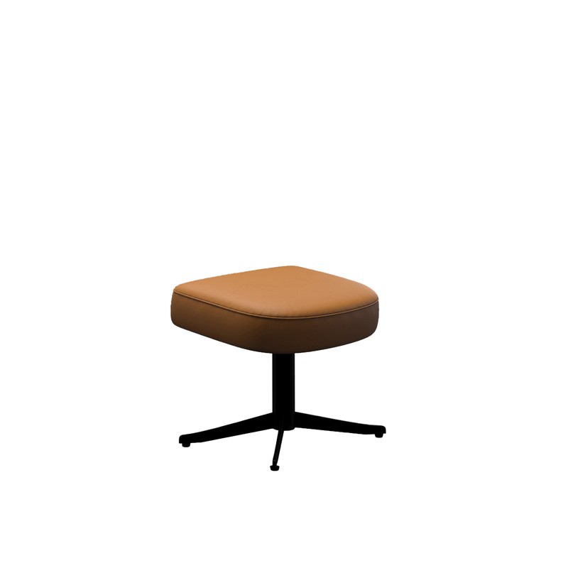 Läder Classic Cognac