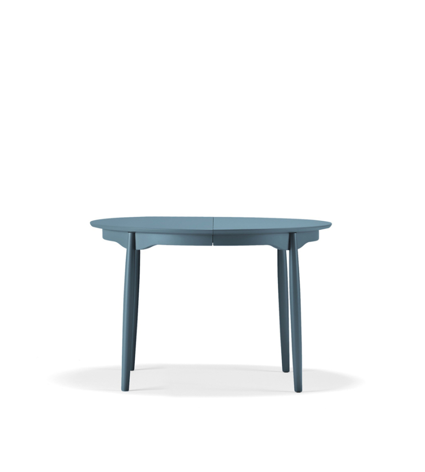 Björk Lackad Skogstjärn