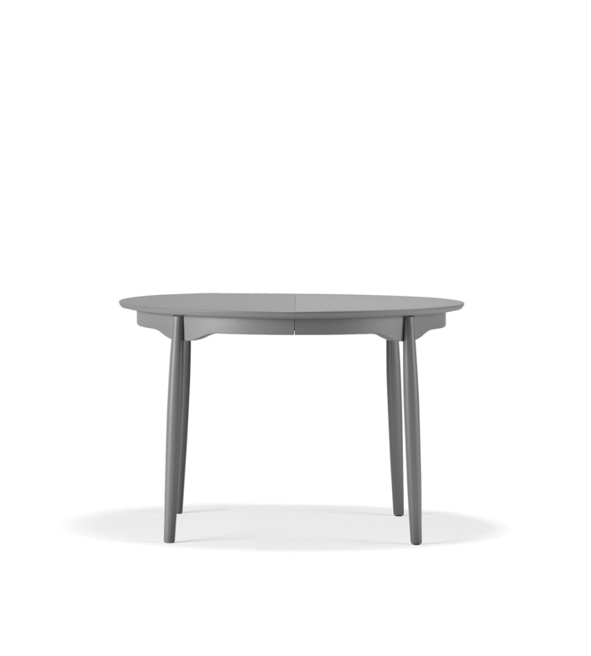 Björk Lackad Mörkgrå