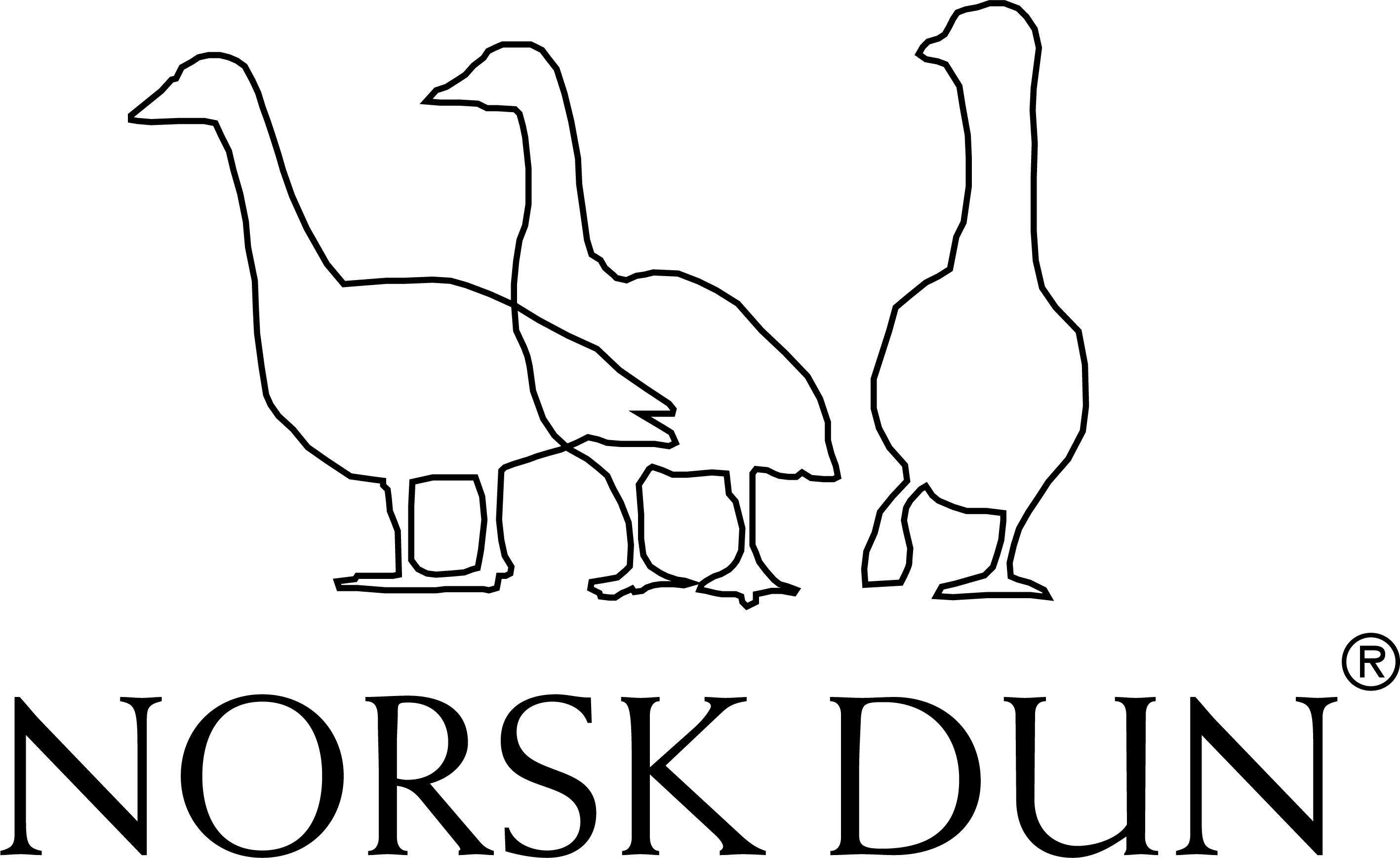 NORSK DUN